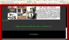 陈老师最新爆料视频网页,揭秘事件背后惊人真相！